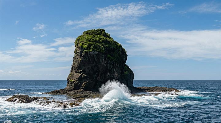 DENTAL TOURISM: WHAT, HOW, WHERE?